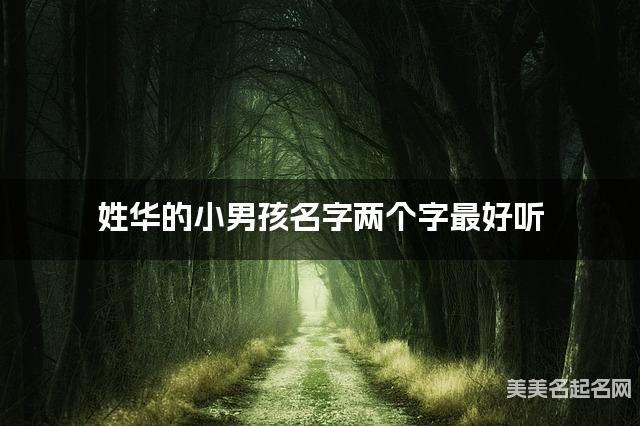姓华的小男孩名字两个字最好听