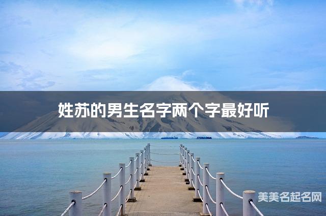 姓苏的男生名字两个字最好听