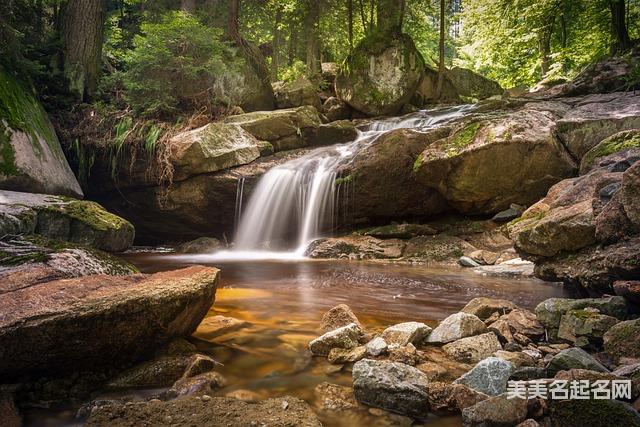 如何用诗经给宝宝起个不落俗套的名字