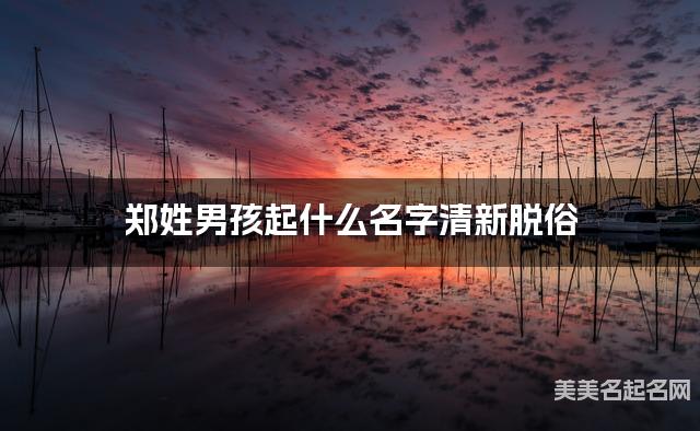 郑姓男孩起什么名字清新脱俗 宝宝起名推荐