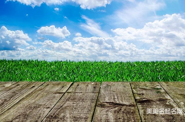 陈姓女生起名晚配个什么字灵动好听 陈姓女生起名晚配个什么字灵动好听