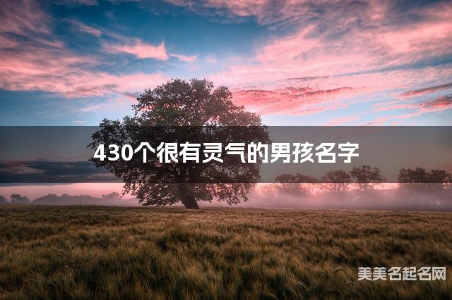 430个很有灵气的男孩名字