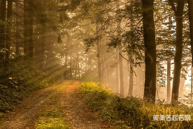 超好听的独一无二与众不同男生名字