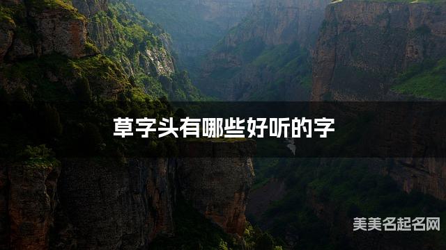 草字头有哪些好听的字，草字头的字男生起名字
