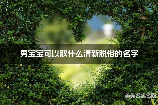男宝宝可以取什么清新脱俗的名字