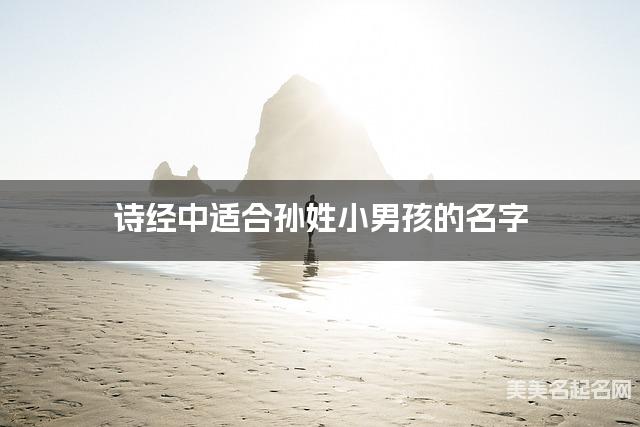 诗经中适合孙姓小男孩的名字