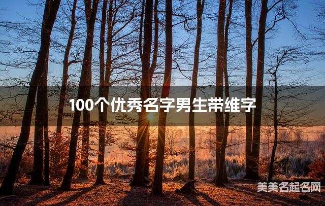 100个优秀名字男生带维字