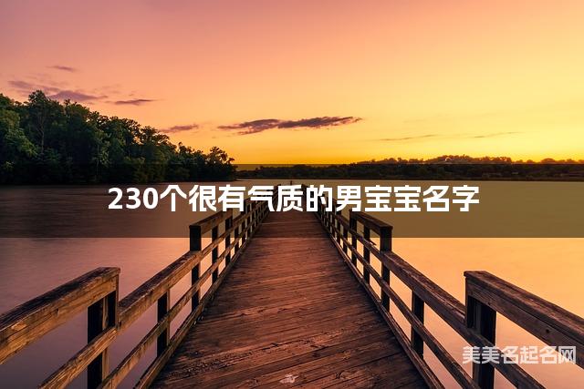 230个很有气质的男宝宝名字