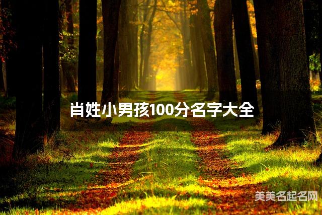 肖姓小男孩100分名字大全