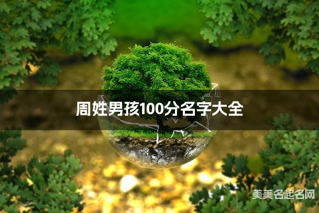 周姓男孩100分名字大全