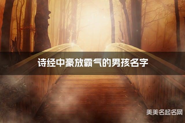 诗经中豪放霸气的男孩名字