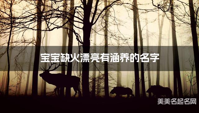 宝宝缺火漂亮有涵养的名字