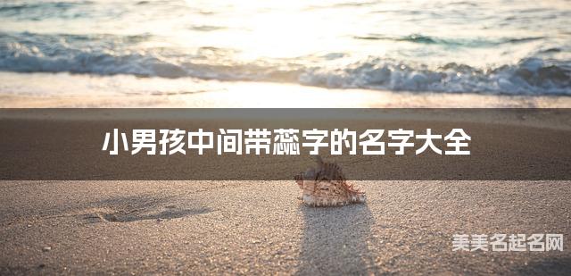 小男孩中间带蕊字的名字大全
