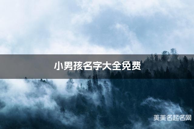 小男孩名字大全免费 文雅好听的名字