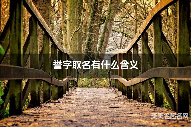 誉字取名有什么含义，用来男生取名字