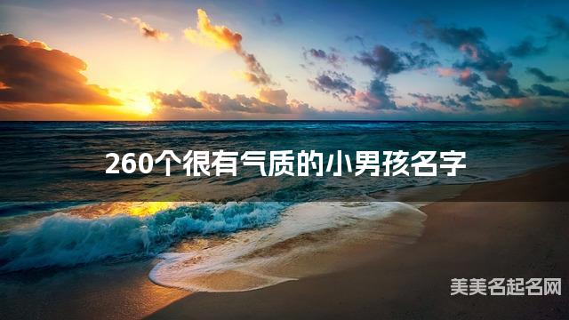 260个很有气质的小男孩名字