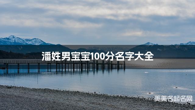 潘姓男宝宝100分名字大全