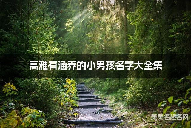 高雅有涵养的小男孩名字大全集 有中国文化特色的名字