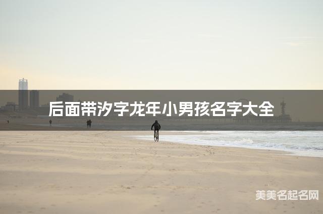 后面带汐字龙年小男孩名字大全