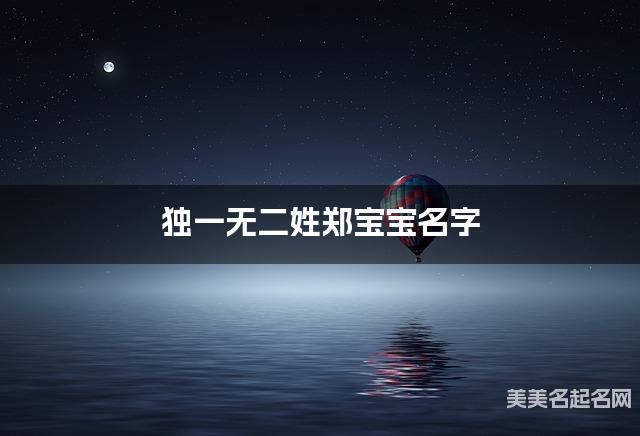 独一无二姓郑宝宝名字