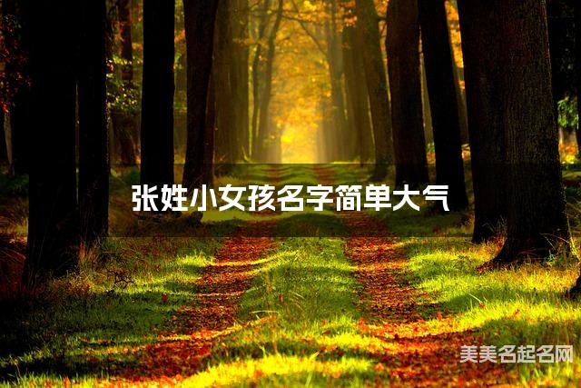 张姓小女孩名字简单大气