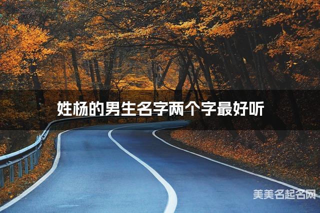姓杨的男生名字两个字最好听