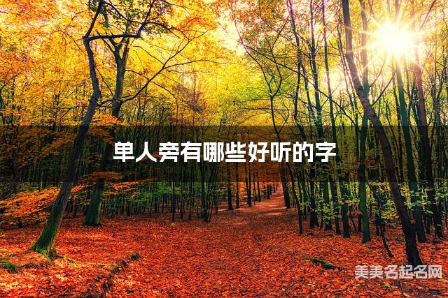 单人旁有哪些好听的字，单人旁的字小女孩起名字