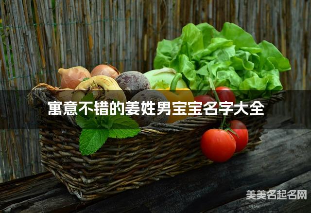 寓意不错的姜姓男宝宝名字大全