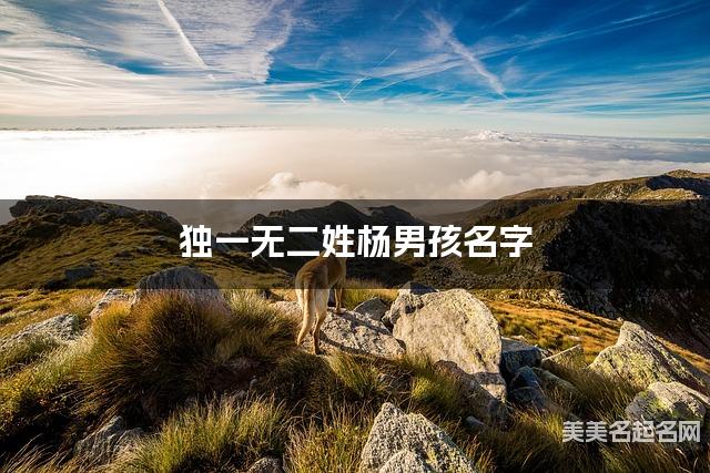 独一无二姓杨男孩名字