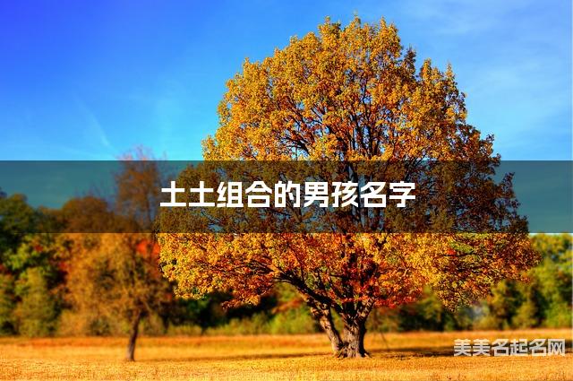 土土组合的男孩名字 男孩高雅有诗意的名字