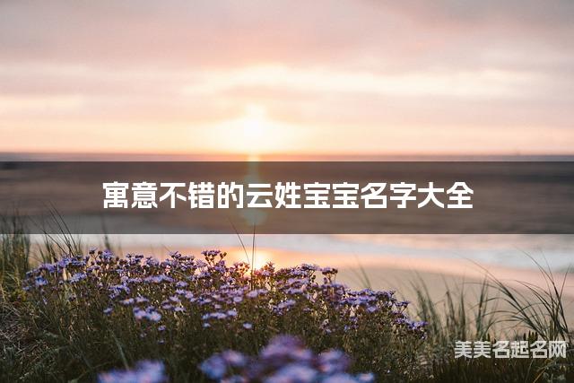 寓意不错的云姓宝宝名字大全