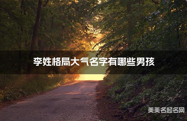 李姓格局大气名字有哪些男孩