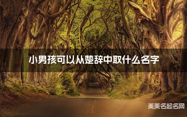 小男孩可以从楚辞中取什么名字 小男孩可以从楚辞中取什么名字