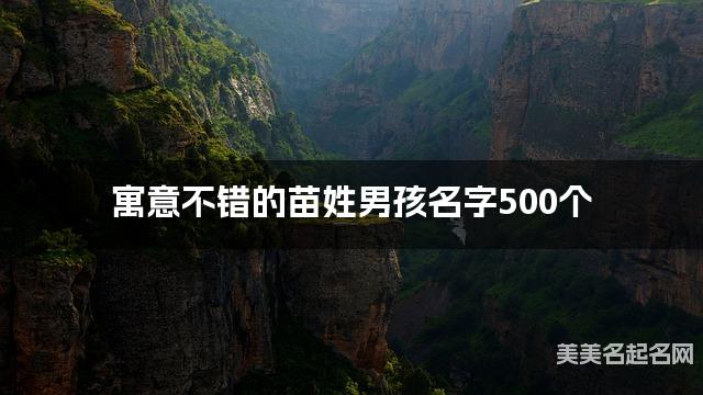 寓意不错的苗姓男孩名字500个