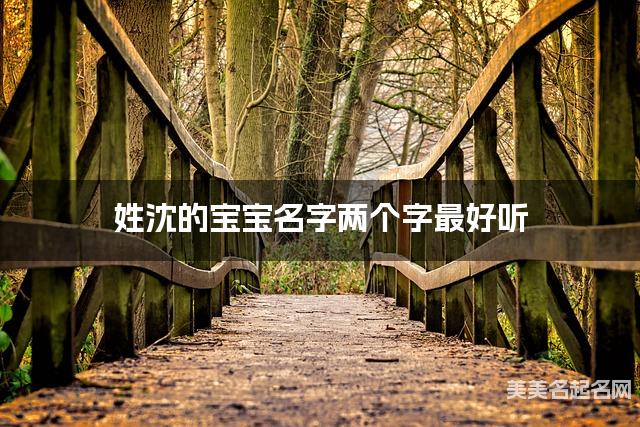 姓沈的宝宝名字两个字最好听
