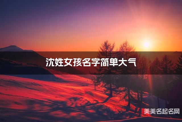 沈姓女孩名字简单大气