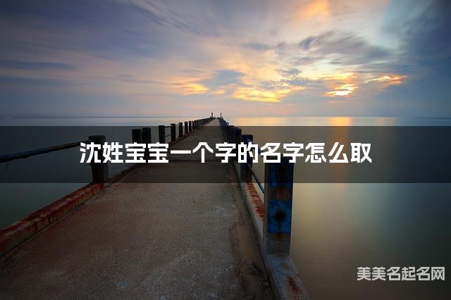 沈姓宝宝一个字的名字怎么取