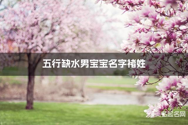 五行缺水男宝宝名字褚姓