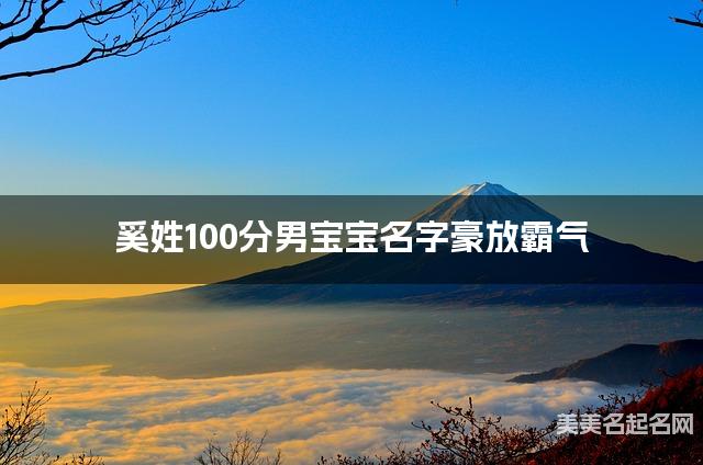 奚姓100分男宝宝名字豪放霸气