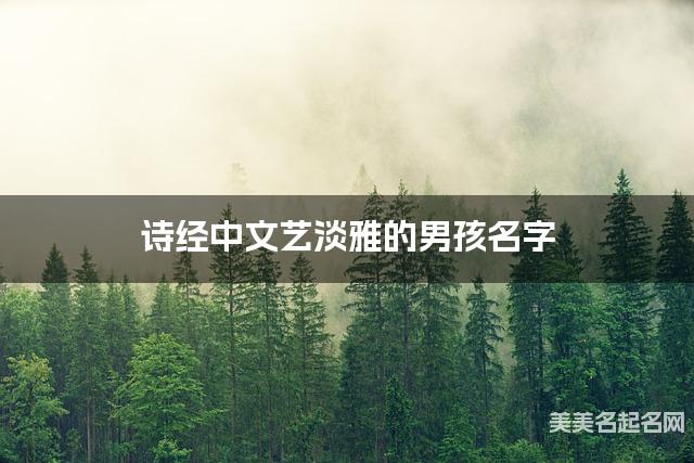 诗经中文艺淡雅的男孩名字