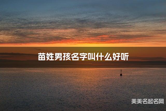 苗姓男孩名字叫什么好听