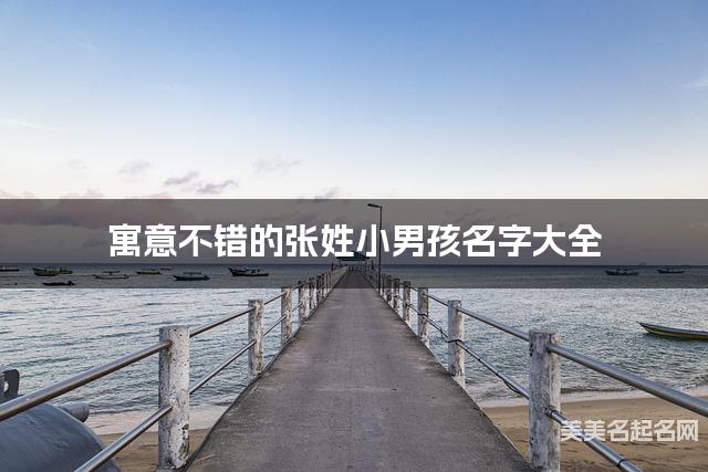 寓意不错的张姓小男孩名字大全