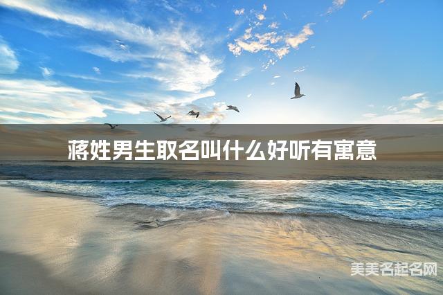 蒋姓男生取名叫什么好听有寓意