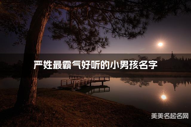 严姓最霸气好听的小男孩名字