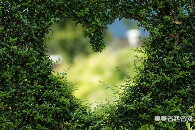 取名学问：你不得不了解的这些宝宝名字，高雅有诗意