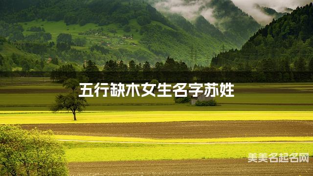 五行缺木女生名字苏姓