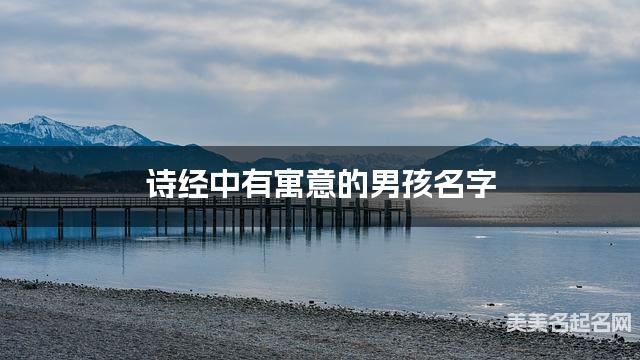 诗经中有寓意的男孩名字