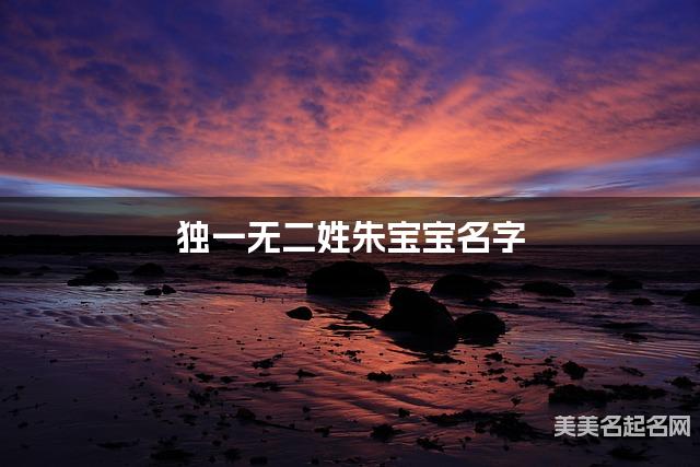 独一无二姓朱宝宝名字