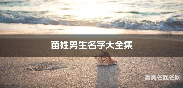 苗姓男生名字大全集(简单顺口300个)