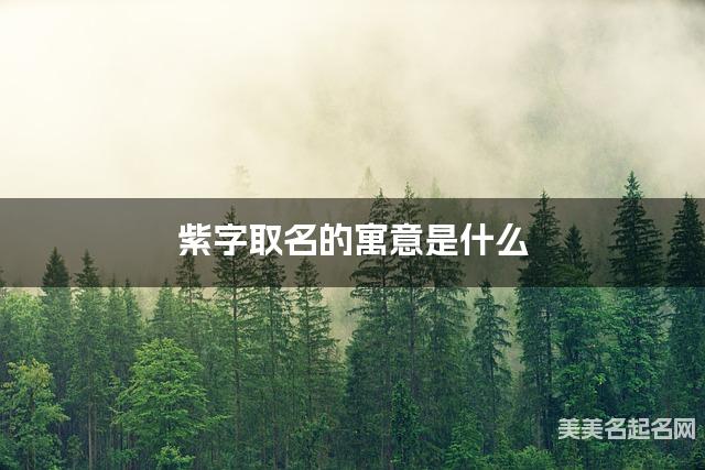 紫字取名的寓意是什么